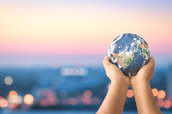 COP27 Key takeaways: Loss and damage, blended finance and unabated emissions