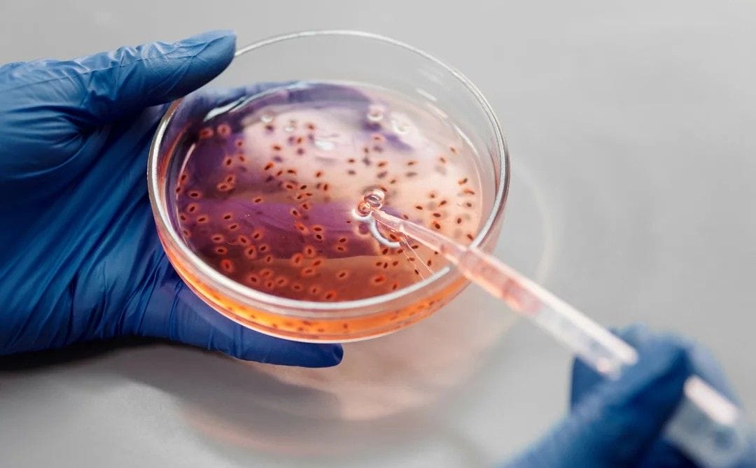 Why 2022 will be a record year for cell and gene therapy | Life Sciences Insights – March 2022