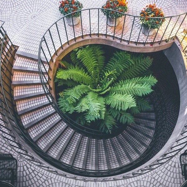 How scale-ups access later stage growth capital